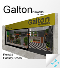 Galton Flowers